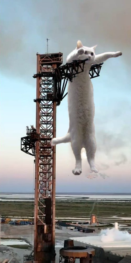 A cat hanging from the SpaceX catch arms 