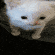 katExplosion