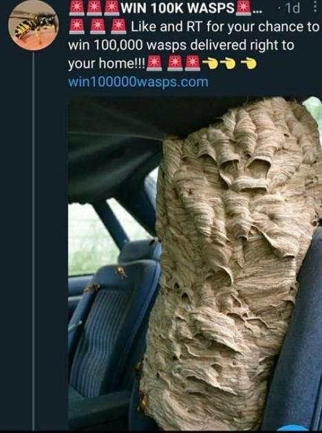 A twitter post by an account called "WIN 100K WASPS" saying "Like and RT for your chance to win 100,000 wasps delivered right to your home!!! win100000wasps.com"

Below is an image of a gigantic wasp hive in someones car