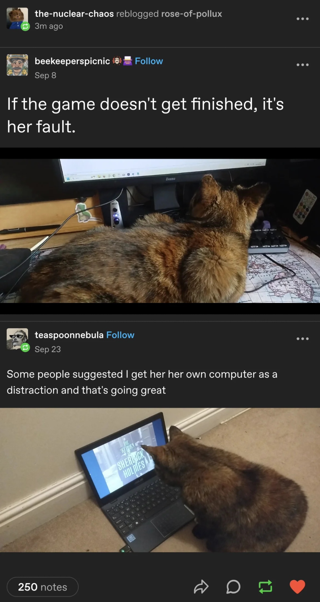 Funny meme
