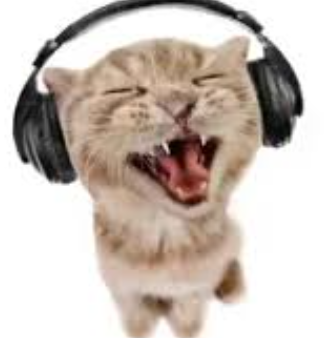 funky-cat