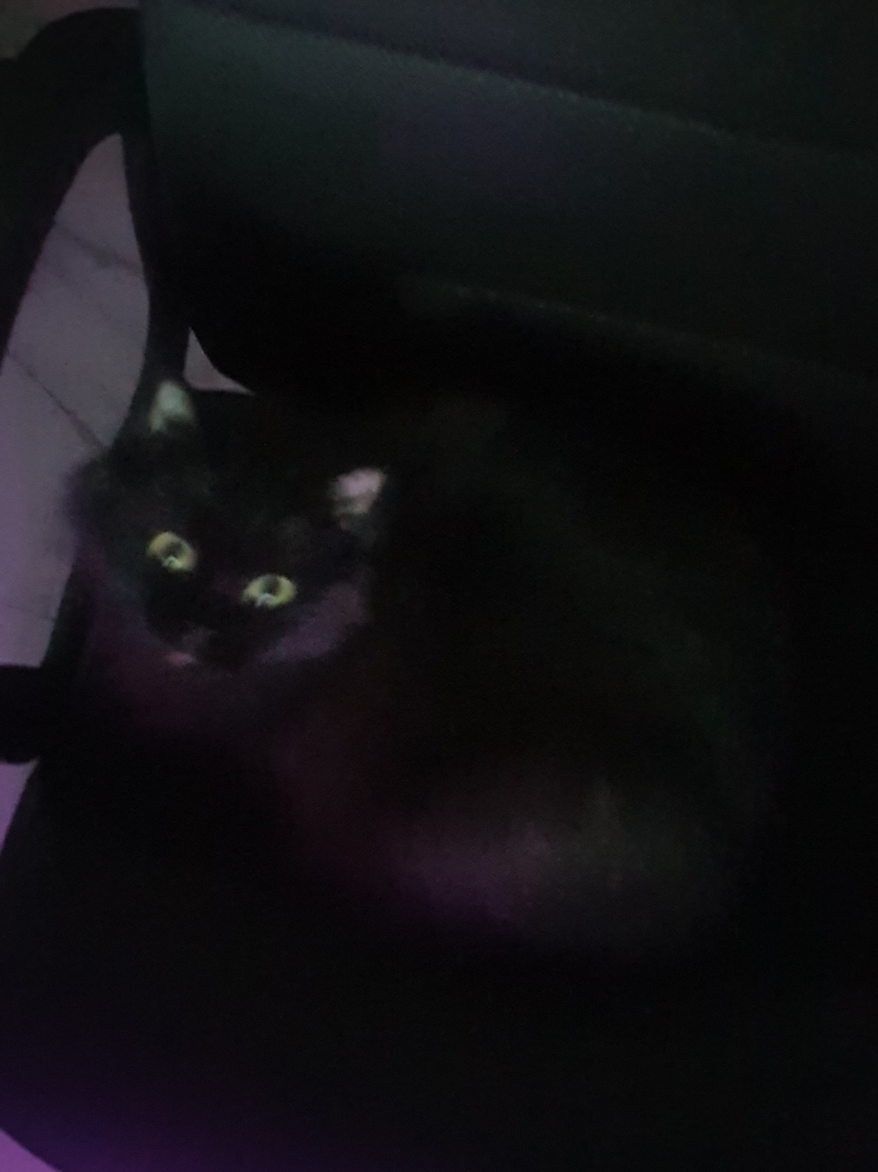 The fucking Void©