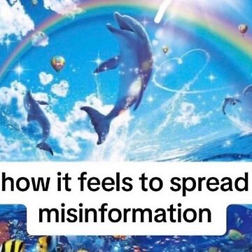 A picture of dolphins jumping with the bottom text: "how it feels to spread misinformation"