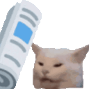 newspaper-cat