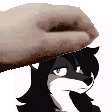 patting jen's pfp