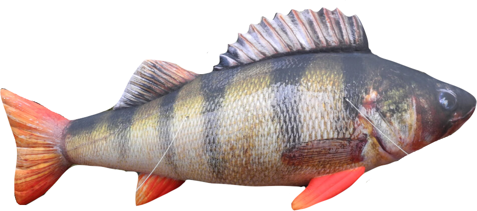 barry
