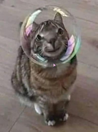 cat whose face is visually distorted by a bubble in front of it