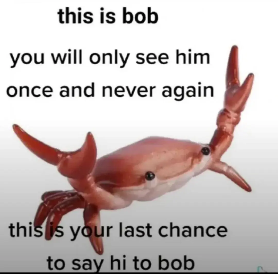 A picture of a crab with the text: "this is bob you will only him once and never again this is your last chance to say hi to bob"