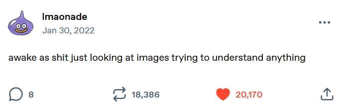 tumblr post by user lmaonade reading "awake as shit just looking at images trying to understand anything"