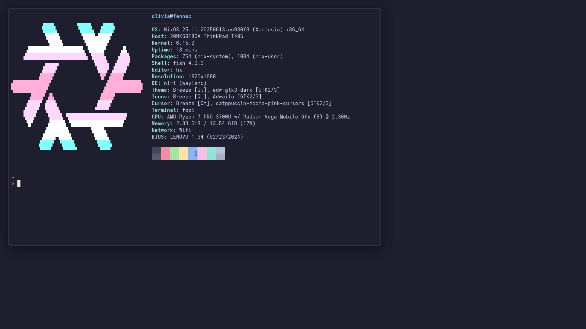 screenshot of a terminal window with hyfetch

olivia@fennec

thinkpad t495
