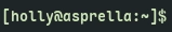 bash prompt
holly@asprella