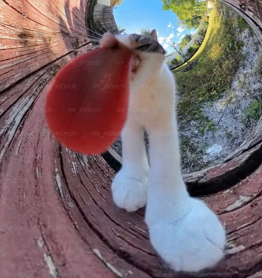Distorted picture of a cat that licks the camera, by mr_m0nch (afaik)