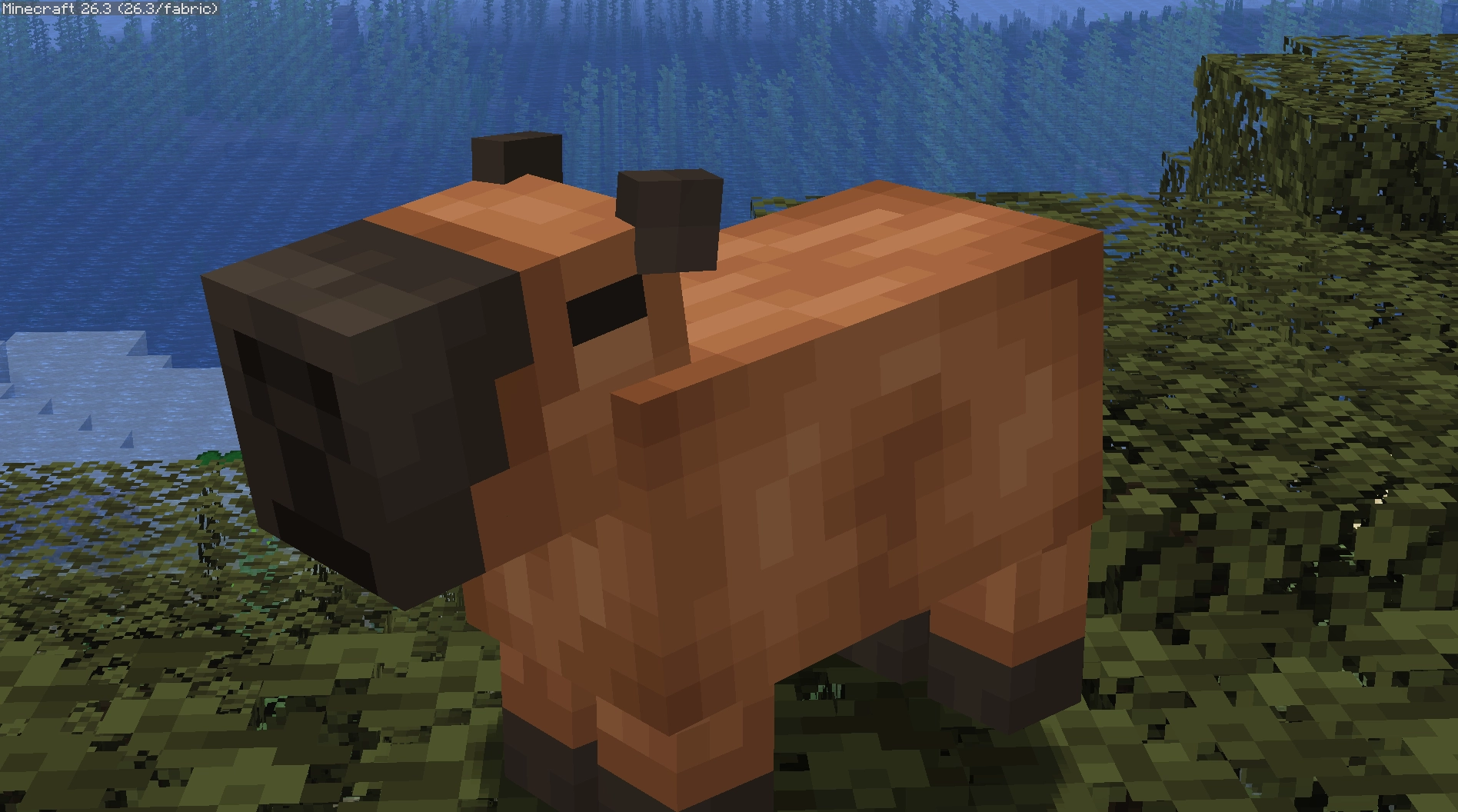 capybara from promenade on a swamp oak tree