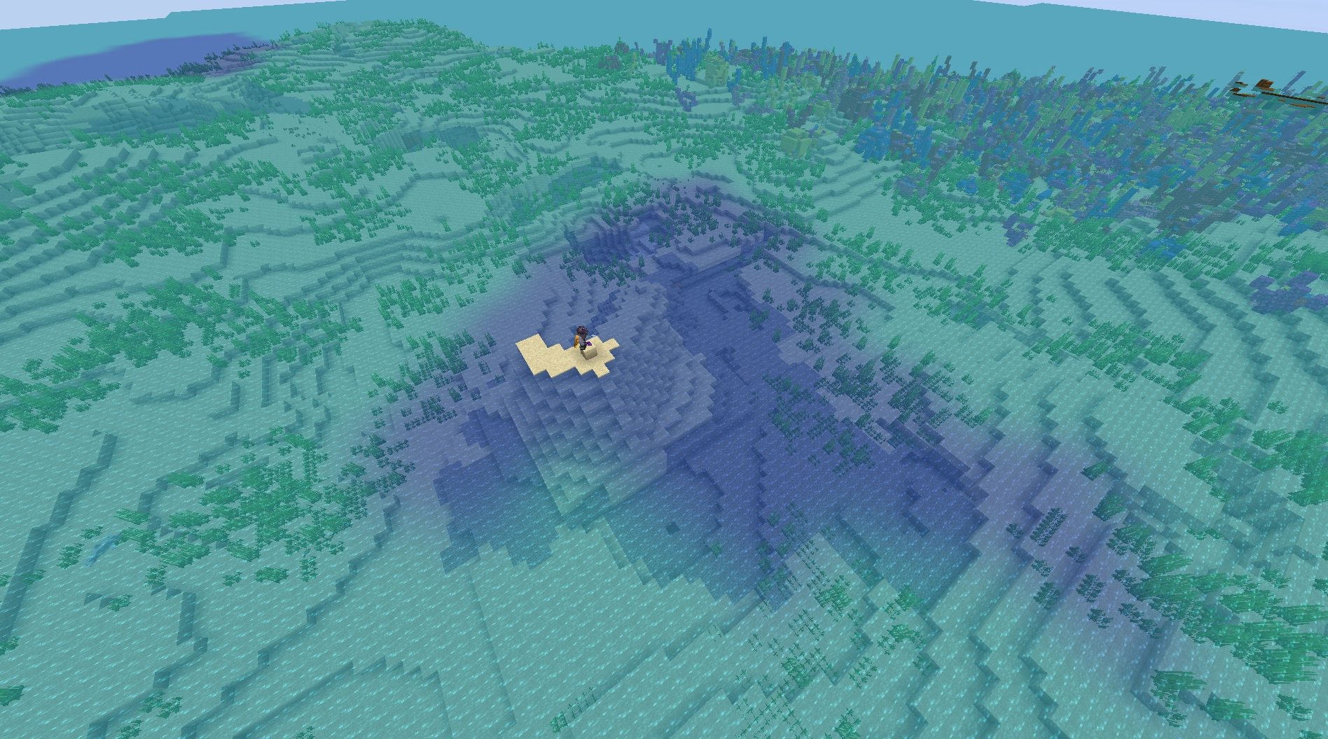 a desert biome in the middle of the ocean with a single island with only 13 blocks exposed to the air