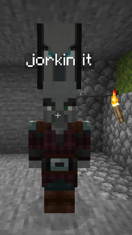 pillager captain with no crossbow named "jorkin it"