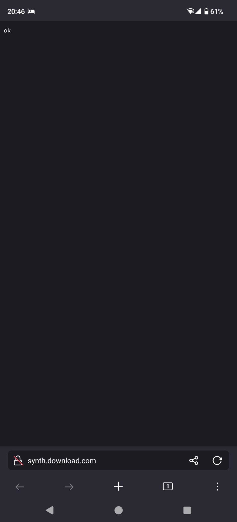 i went to it

it just says "ok"
