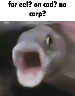 a picture of a fish with the caption: "for eel? on cod? no carp?"