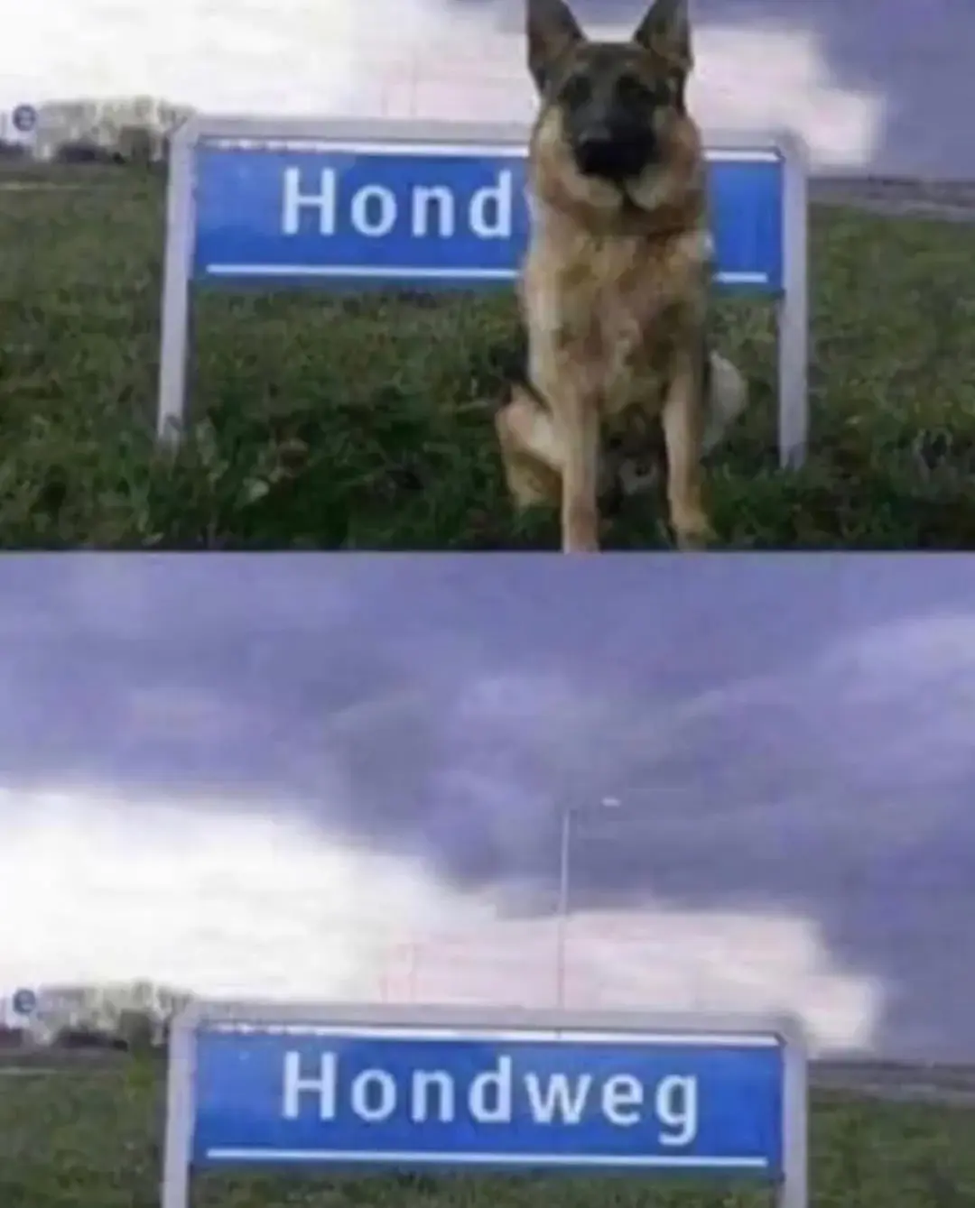 Two pictures, the top one containing a dog covering a sign which makes it read "hond" the bottom one now without the dog which reveals the text saying "hondweg"