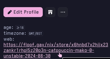 the link to my website in my discord bio has a nix store path tacked onto the end