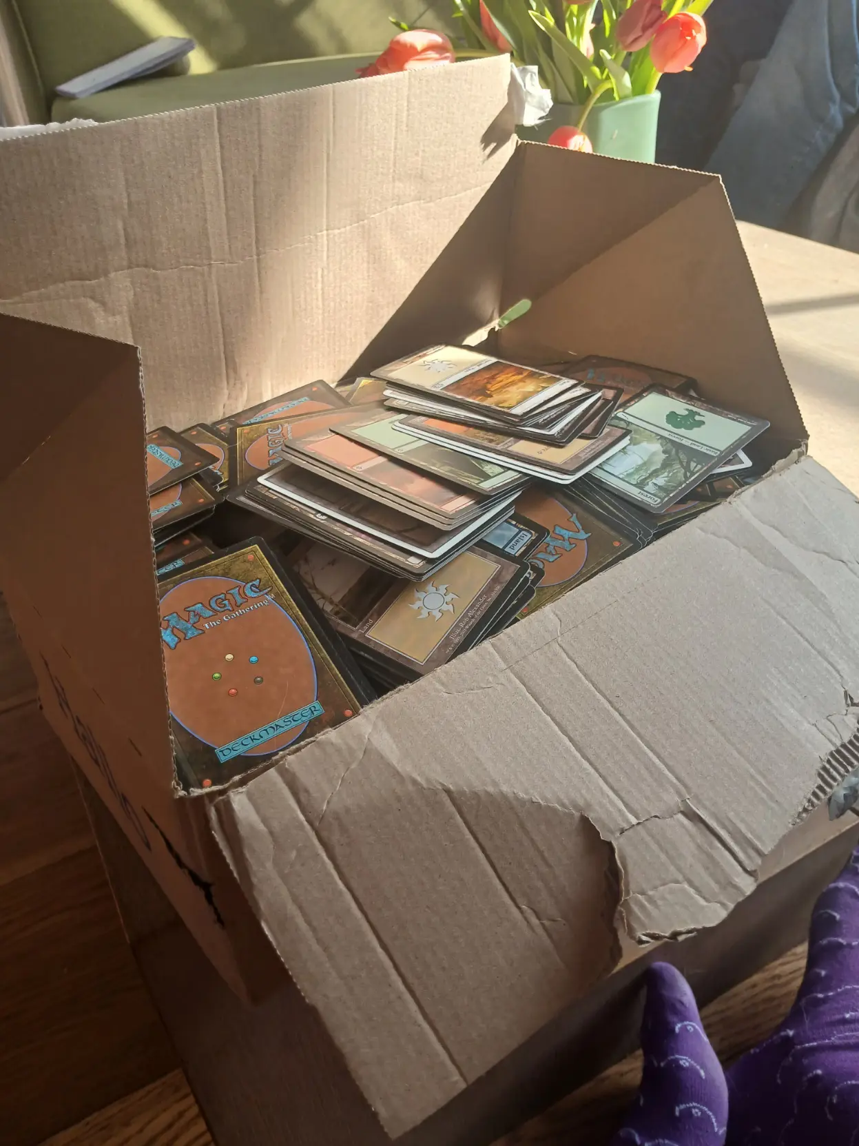Box full of magic the gathering basic lands