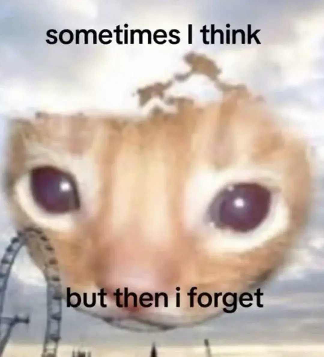 A picture of a cat in the sky with the the top text saying "sometimes I think" and a bottom text saying "but then i forget"