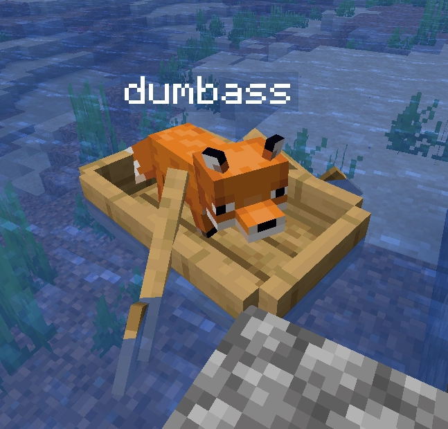 minecraft fox named dumbass

dumbass is in an oak boat