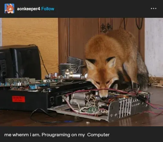A picture of a fox sniffling around an open broken computer with a bottom text reading: "me whenm i am. Prougraming on my   Computer"