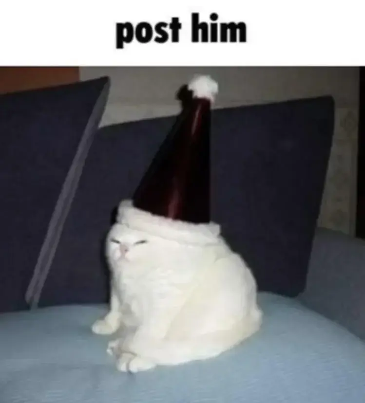 A picture of a funny looking cat wearing a funny hat with the top text saying: "post him"
