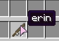 a fishing rod with the name erin