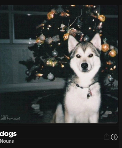 spotify screenshot of the song "dogs" by the band "Nouns", with an album cover that is a picture of a dog in front of a Christmas tree