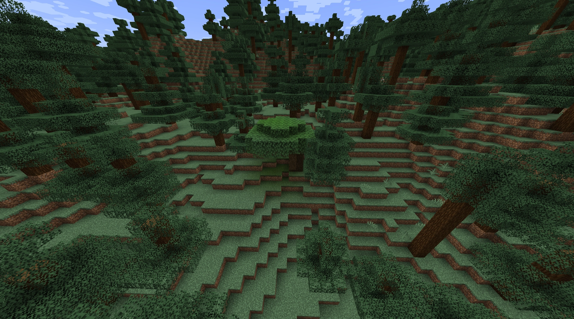 a dark oak biome with a single tree in the middle of a taiga