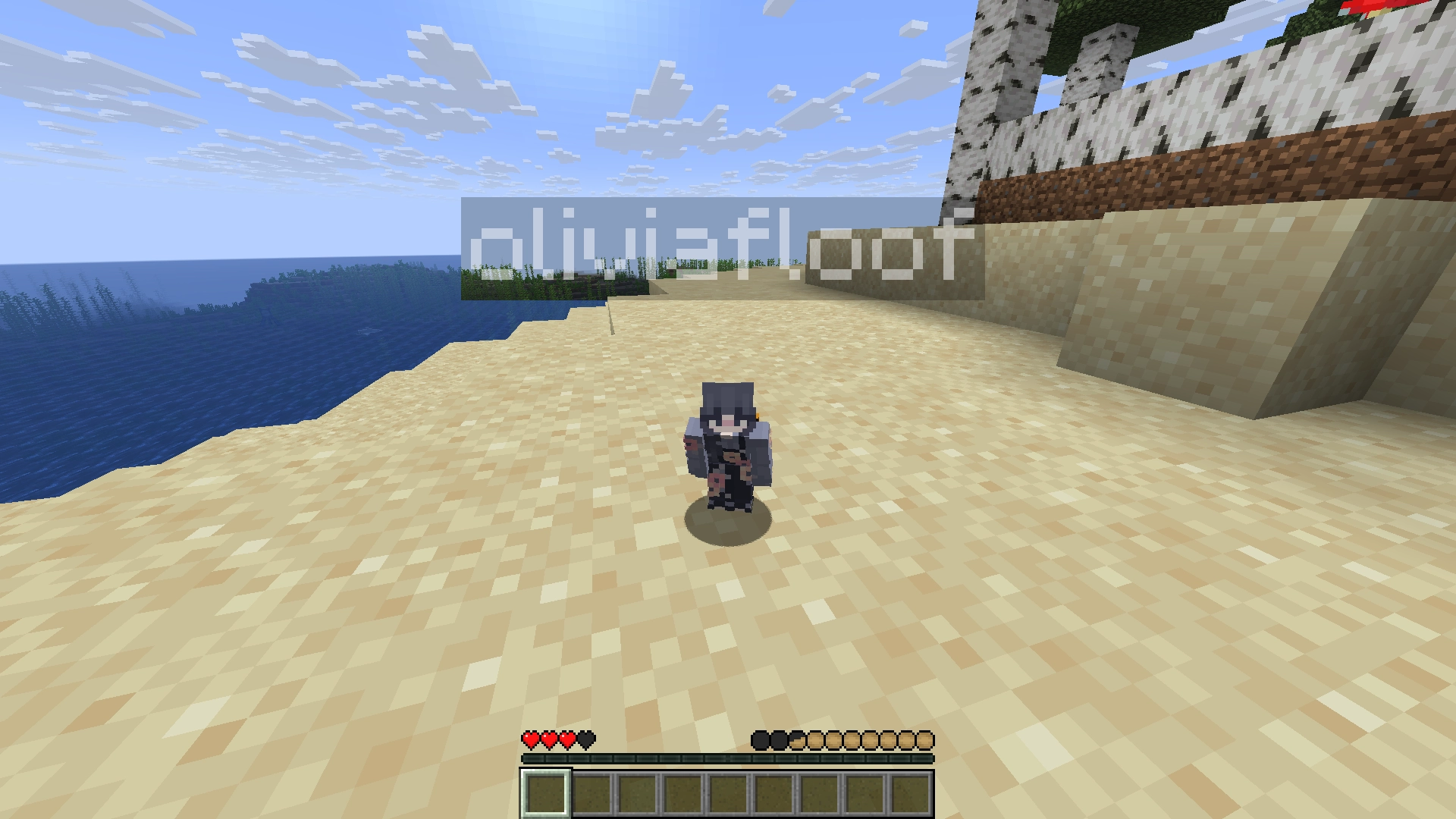 i have become a doll in minecraft