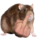 rat_finger