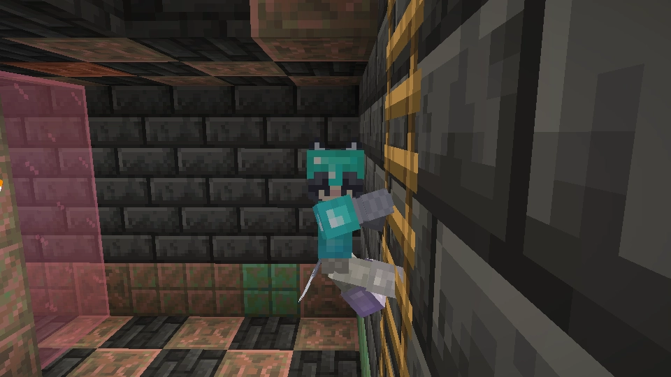 climbing a ladder in houl's house in starlight network's minecraft server