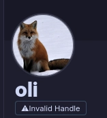 my bsky handle is invalid