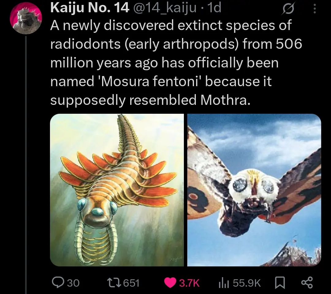 A newly discovered extinct species of radiodonts (early arthropods) from 506 million years ago has officially been named 'Mosura fentoni' because it supposedly resembled Mothra.
