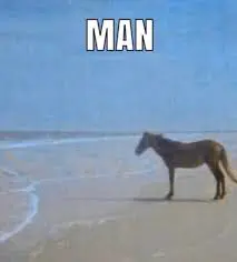 a photo of a horse on the beach, it is facing the ocean

the photo is captioned "man"