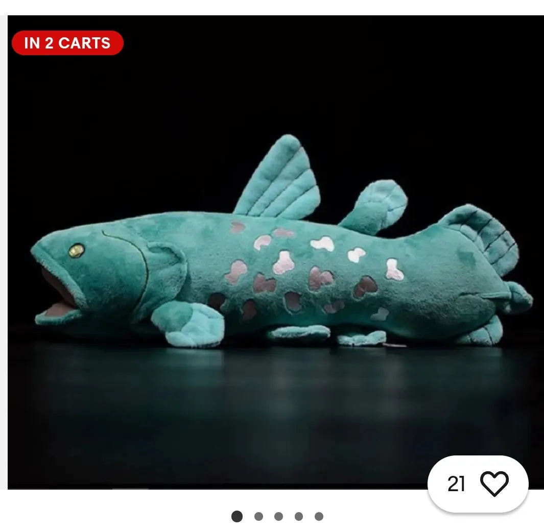 A picture of a plushie of a coelecanth