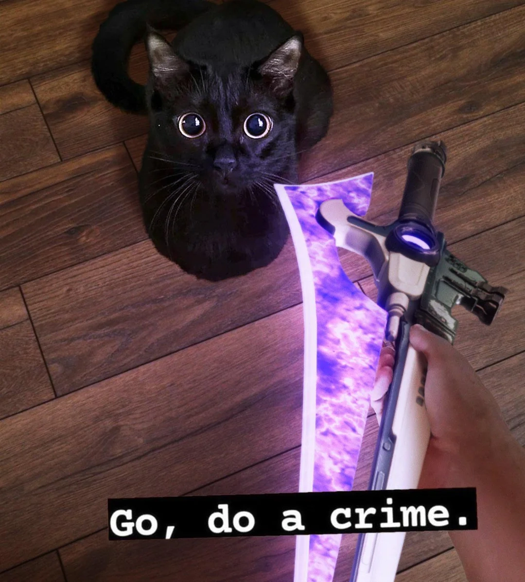 Cat gets a sword. To do crime with 