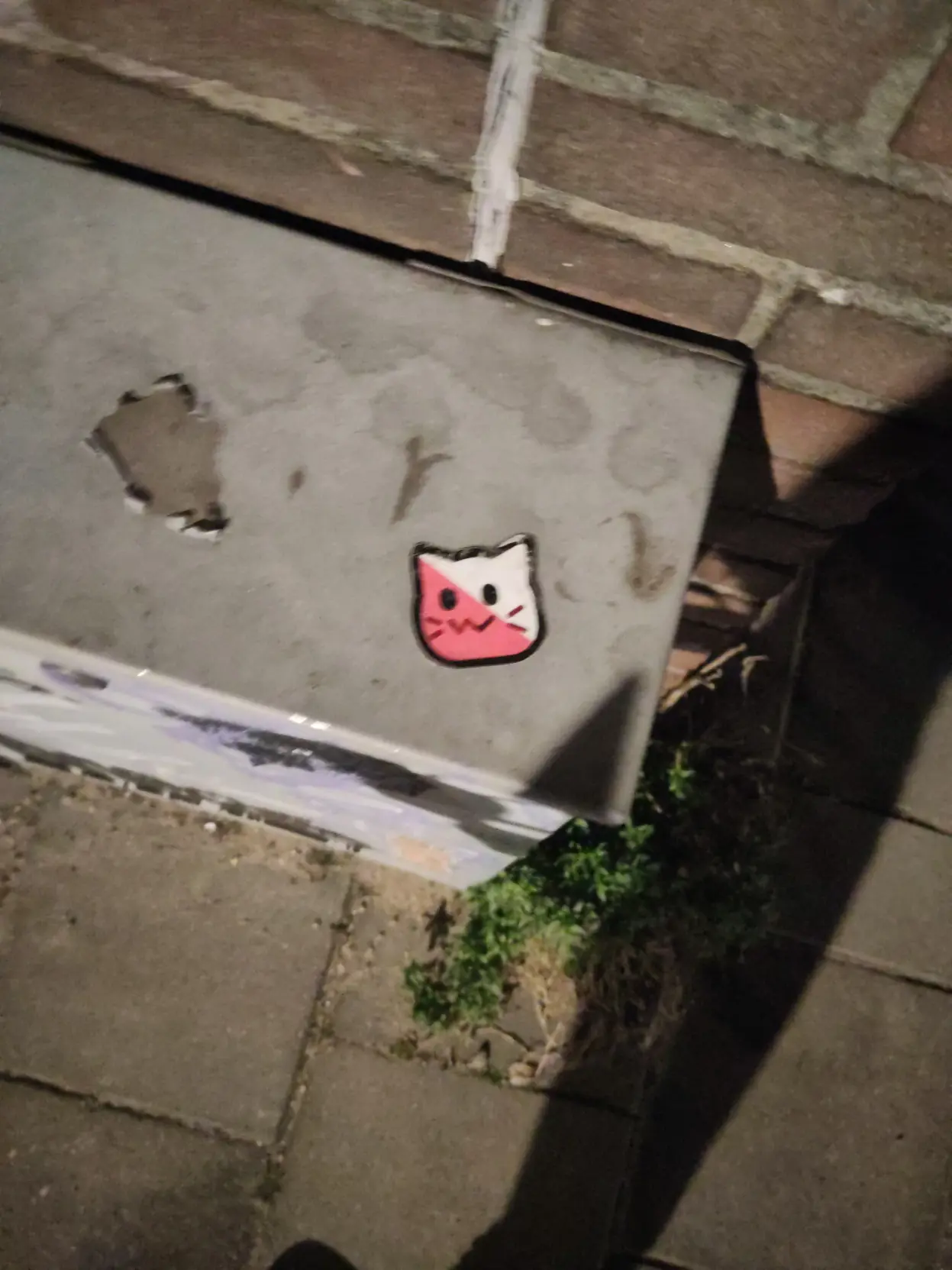 An Utrecht neocat outside