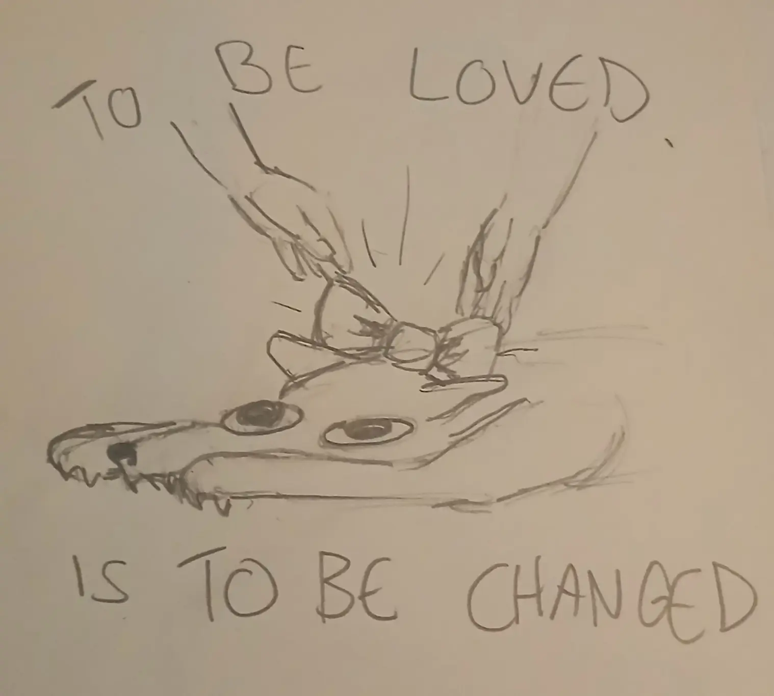 Doodle of a scrungly dog that is being put a bowtie on with the text: "to be loved is to be changed"