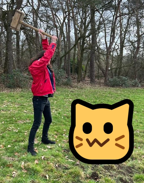 Me swinging a giant hammer at a neocat