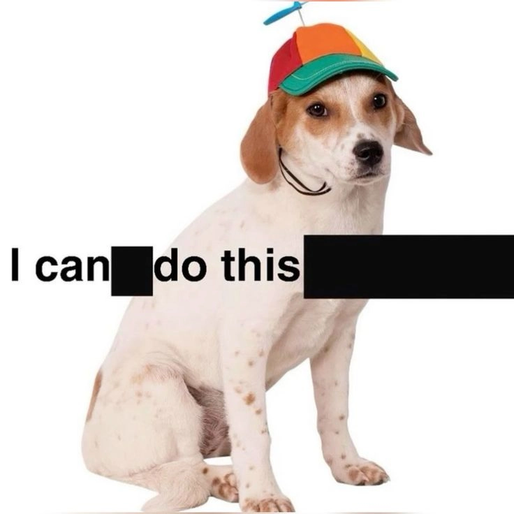 an image of a dog with a funny little hat in front of a white background, with text superimposed on it. parts of the text is blacked out, making it read: "I can do this"