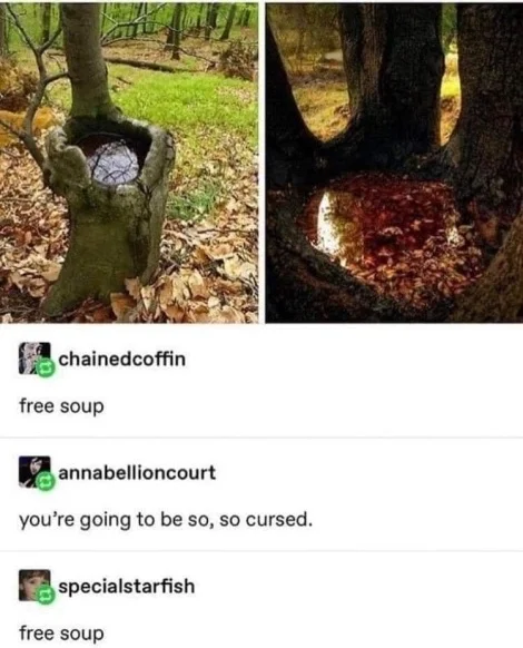 A tree that has been shaped in to a bowl. That now holds what can only be described as "free soup"
