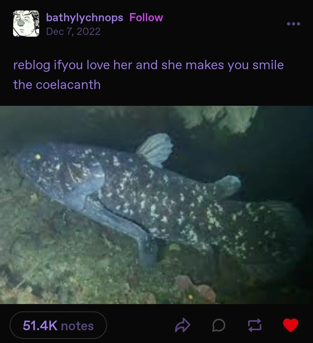 Reblog if you love coelacanth