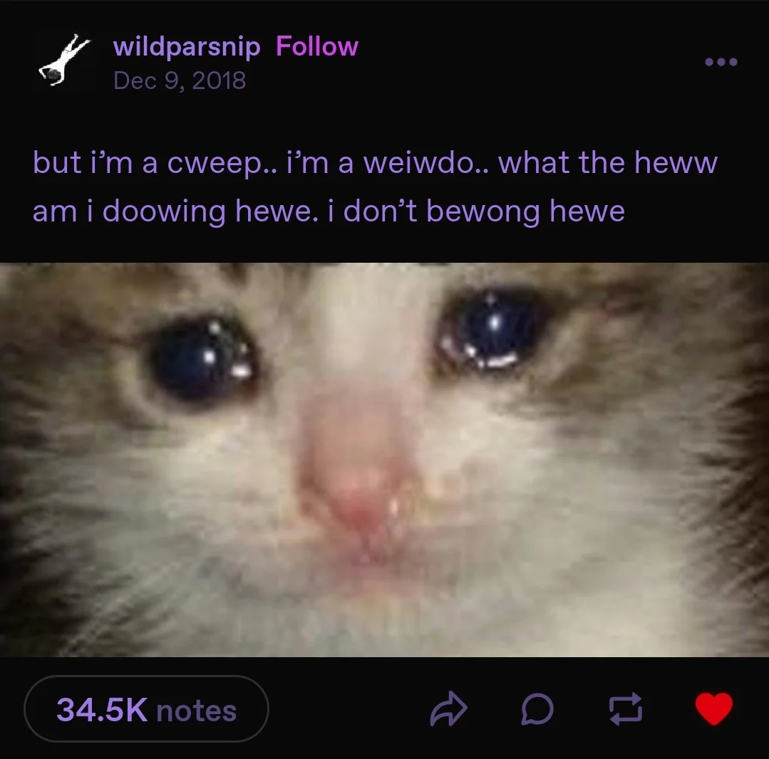 Tumblr post saying "but i'm a cweep.. i'm a weiwdo.. what the heww am i doowing hewe. i don't bewong hewe" followed by a picture of a sad cat
