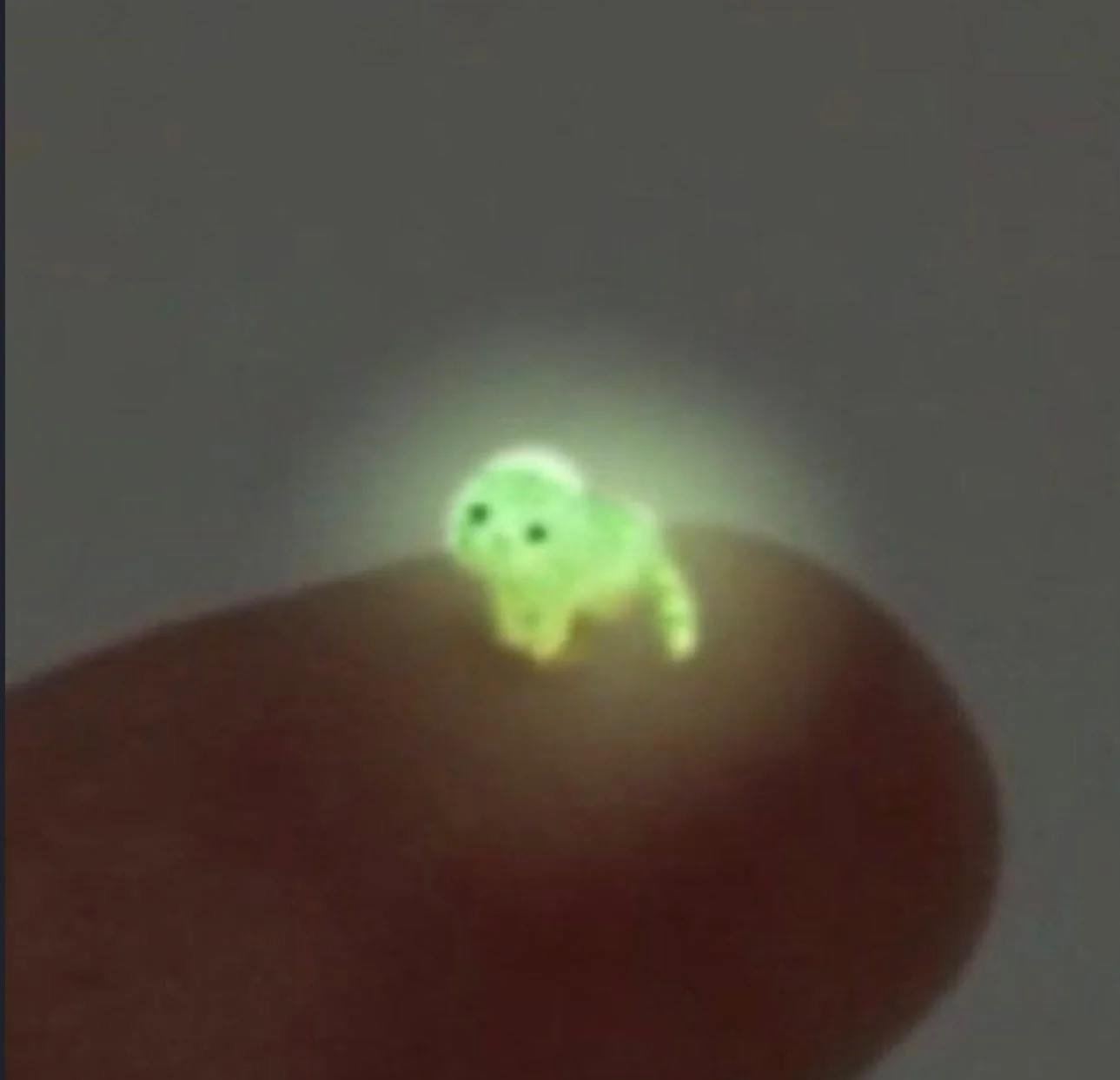 a tiny green glowing cat, suggesting he is radioactive